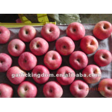 Manzanas frescas de Fuji (blush layer 100-113-125 20kg)